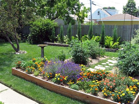 Backyard Garden